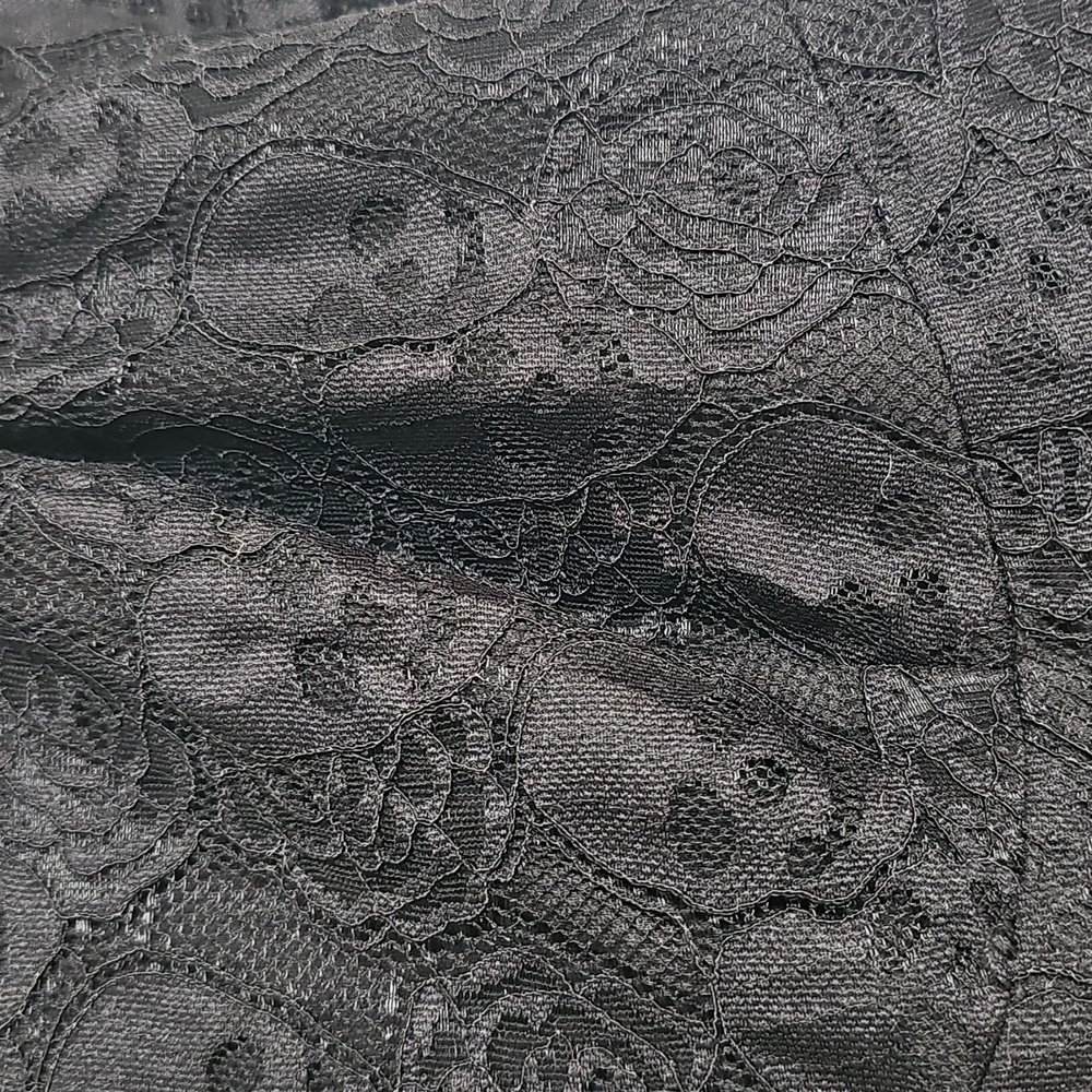 NWT Betsey Johnson X Torrid Cap Sleeve Lace Dress - Picture 2 of 13